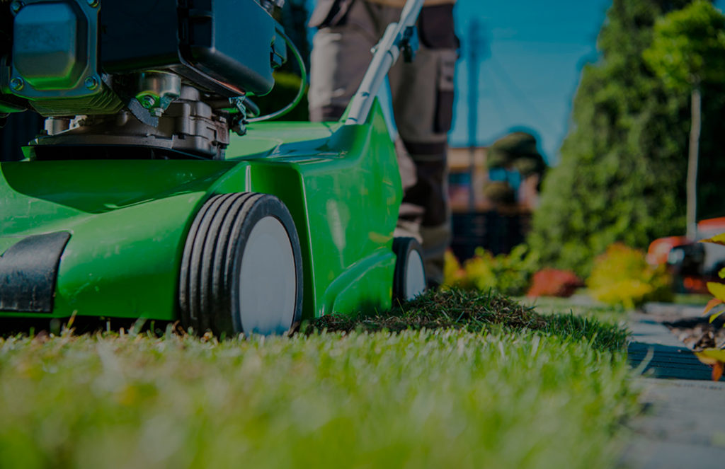 Mantenimiento de jardines de Ecoterra